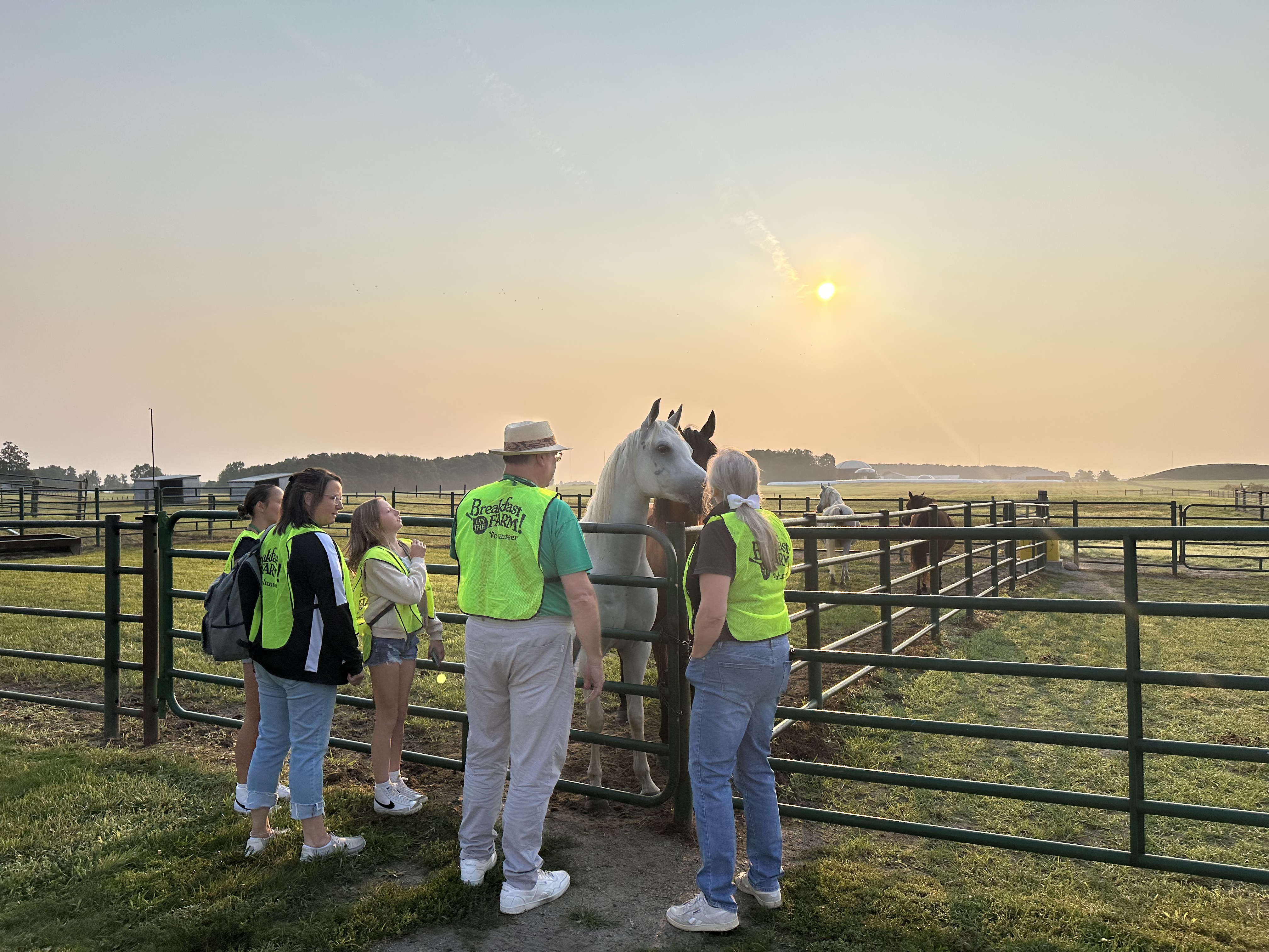 Breakfast on the Farm volunteers and horses-early morning greeting.jpg